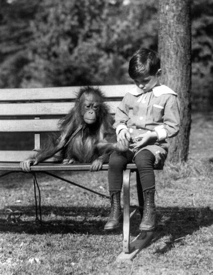 Boy And Orangutan Photograph by Granger - Fine Art America