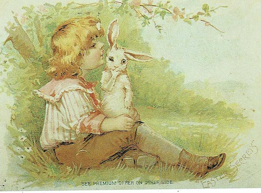 Boy and Rabbit Painting by Reynold Jay