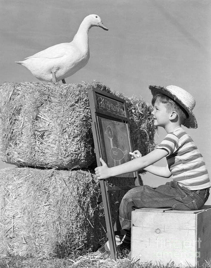 Boy Drawing Duck, C.1950s Photograph by H. Armstrong Roberts/ClassicStock