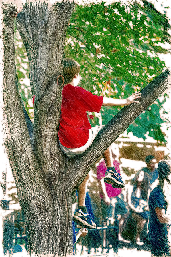 Boy in a Tree Digital Art by John Haldane