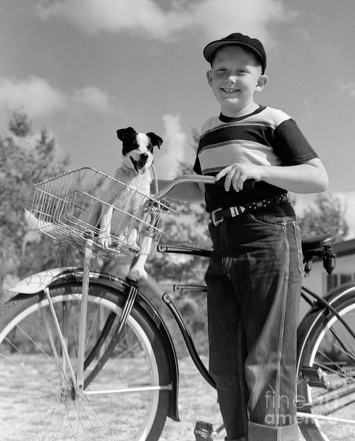 Boy On Bike With Puppy In Basket Photograph by C.S. Bauer/ClassicStock