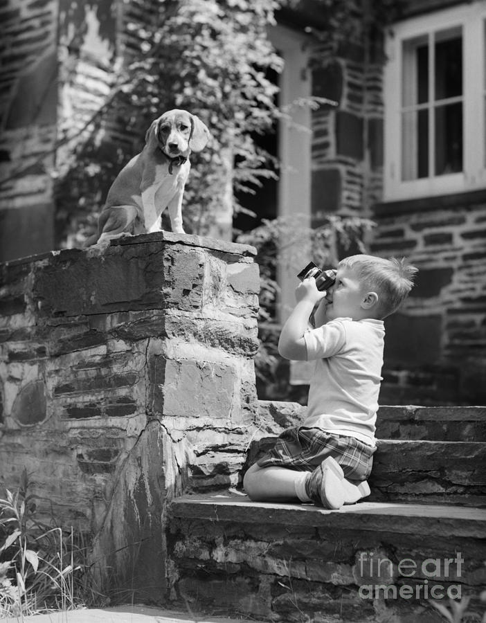 Boy Photographing Dog, C.1950s Photograph by Debrocke ClassicStock