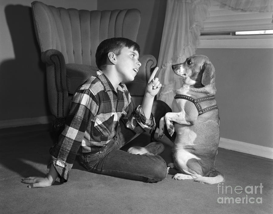 Boy Scolding Dog, C.1950s Photograph by Debrocke/ClassicStock