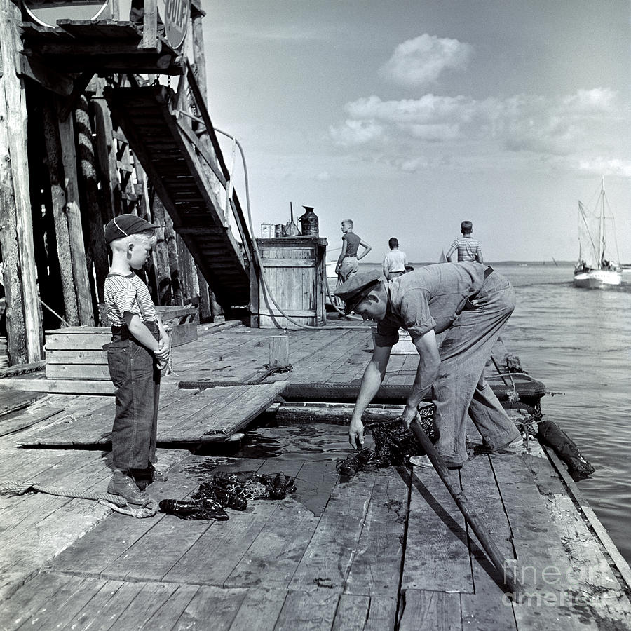 Boy Watching Fisherman Unload Lobsters Photograph by H Armstrong Roberts and ClassicStock