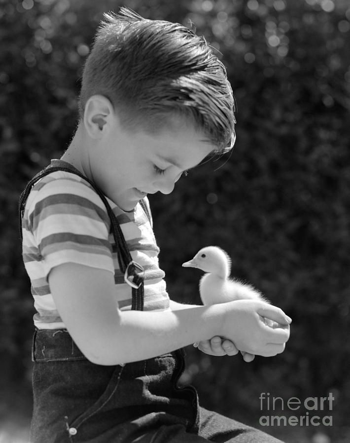Boy With Duckling, C.1950s Photograph by Pound/ClassicStock
