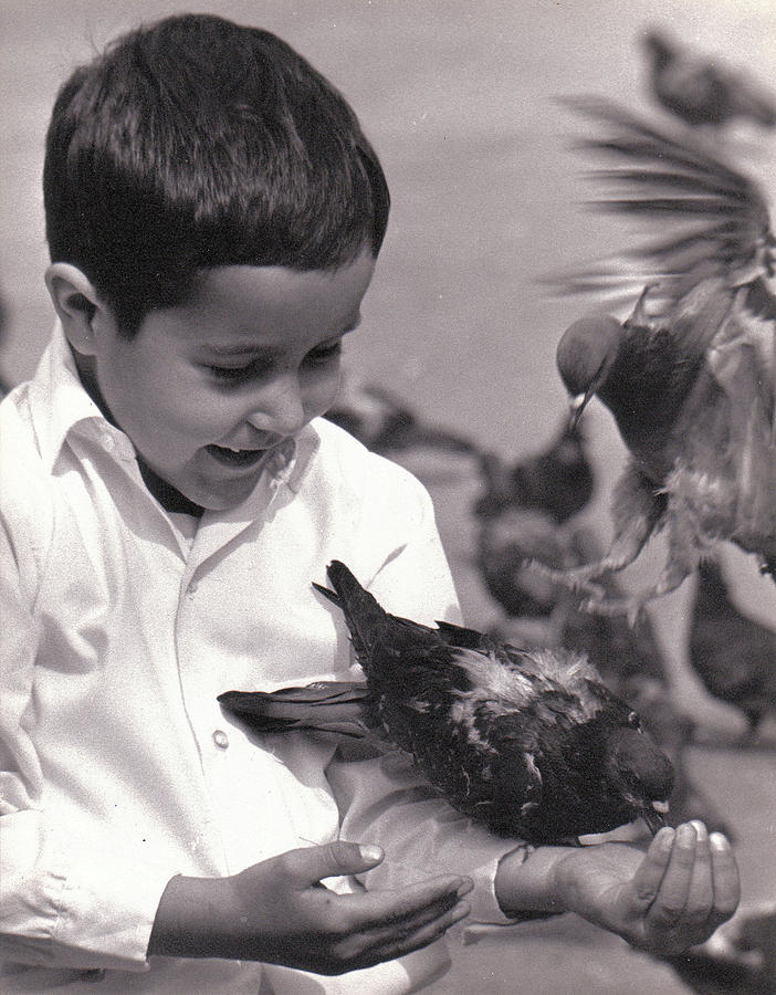 Boy with Pigeons  Photograph by Josephine Buschman