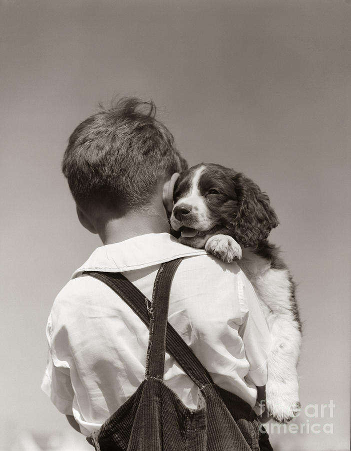 Animal Photograph - Boy With Puppy, C.1930-40s by H Armstrong Roberts ClassicStock