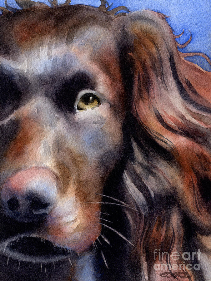 Dog Painting - Boykin Spaniel by David Rogers