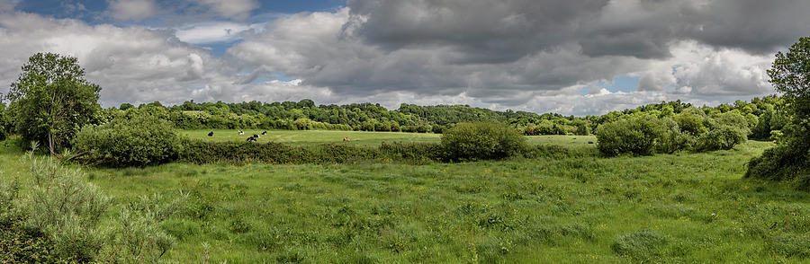 Landscape Photograph - Boyne Valley Panorama by Teresa Wilson