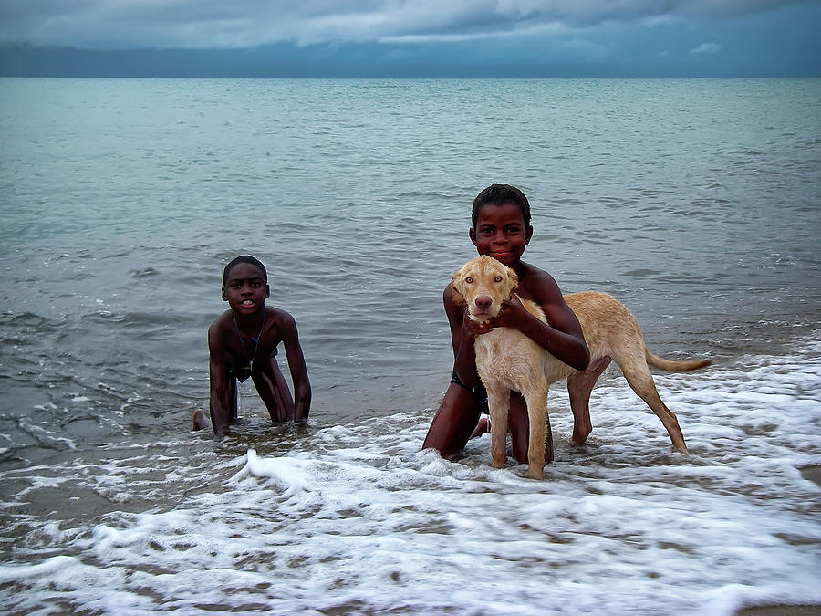 Boys and their dog in the ocean in Belize Photograph by Waterdancer