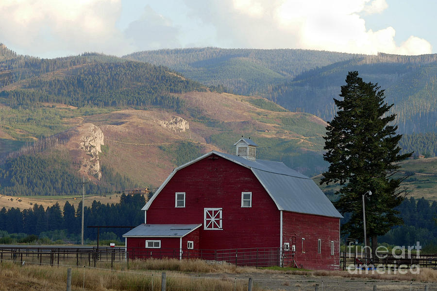 Bozeman, Montana, Barn Photograph by Catherine Sherman