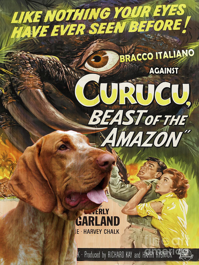 Bracco Italiano Art Canvas Print - Curucu Movie Poster Painting by Sandra Sij