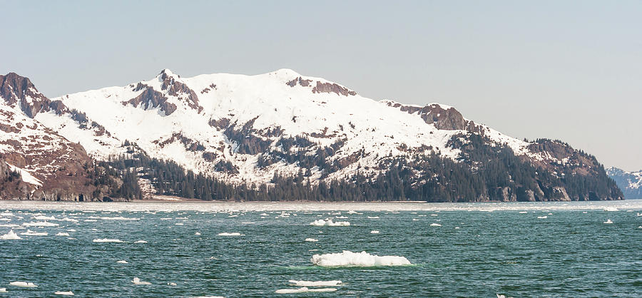 Brack Ice in the Kenai Fjord Alaska  Photograph by Charles McCleanon