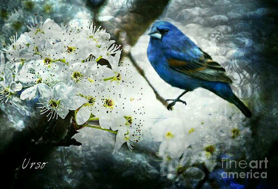 Bradford Blue Bird Digital Art by Maria Urso