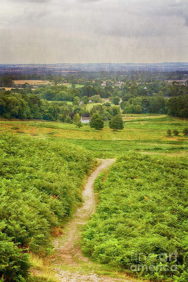 Bradgate Park And Beyond Photograph by Linsey Williams
