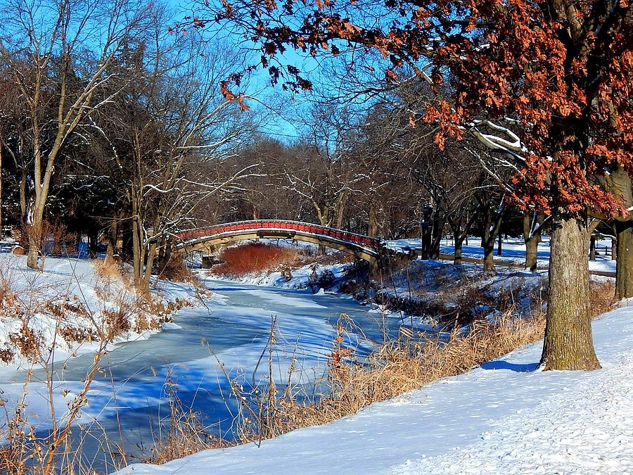 Bradley Bridge in January Photograph by Helen ONeal Fine Art America