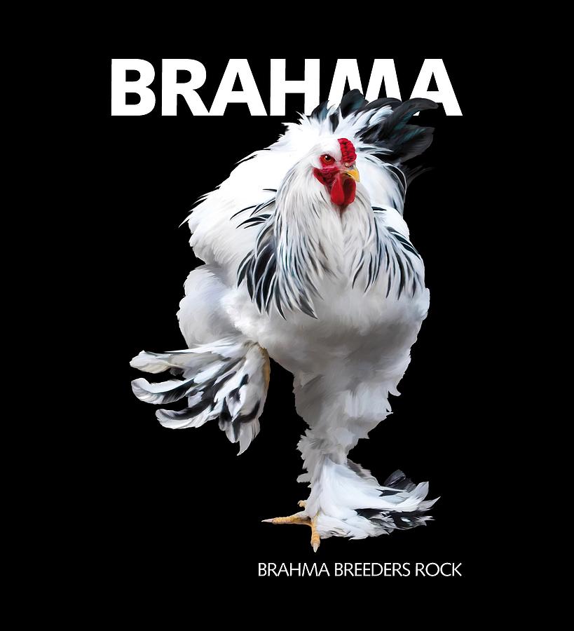Brahma breeders Rock t-shirt print by Sigrid Van Dort Brahma breeders Rock t-shirt print by Sigrid Van Dort