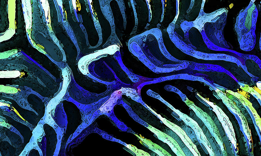 Brain Coral Abstract 3 in Blue Photograph by ABeautifulSky Photography by Bill Caldwell