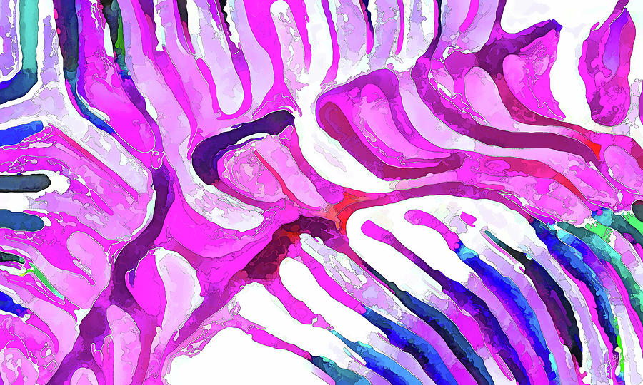 Brain Coral Abstract 7 in Pink Photograph by ABeautifulSky Photography by Bill Caldwell