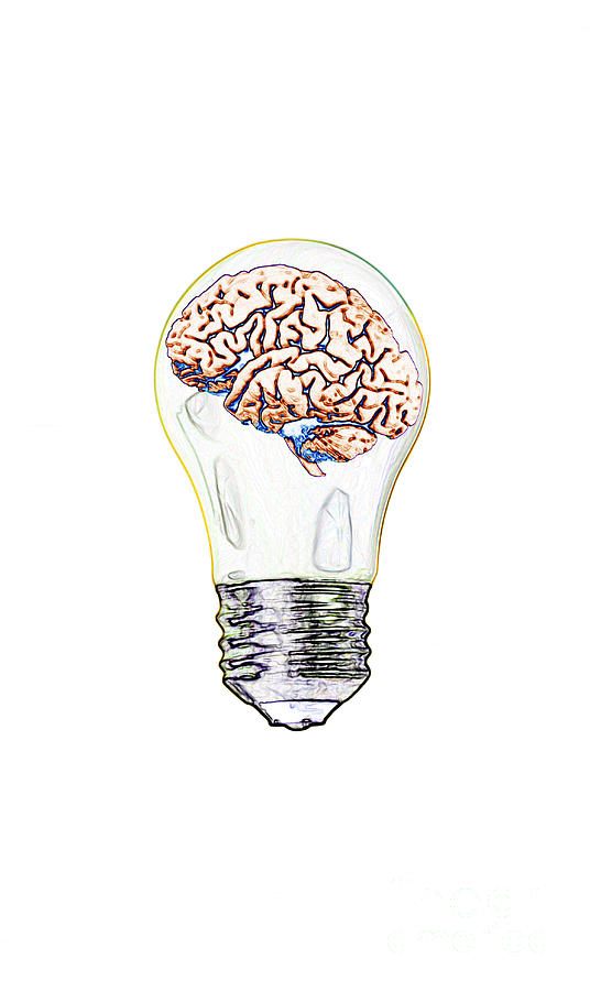 Brain In Lightbulb, Illustration Photograph by Mary Martin