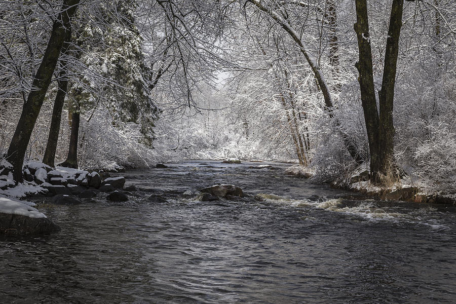 Winter Photograph - Brainards Bridge In Winter 2014-2 by Thomas Young