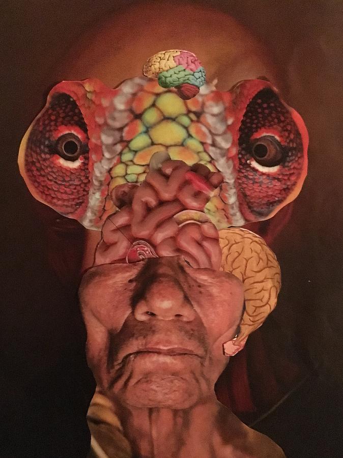Brainiac Humanoid Mixed Media by Douglas Fromm