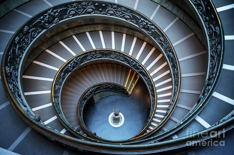Bramante spiral staircase at the Vatican Photograph by Louise Poggianti