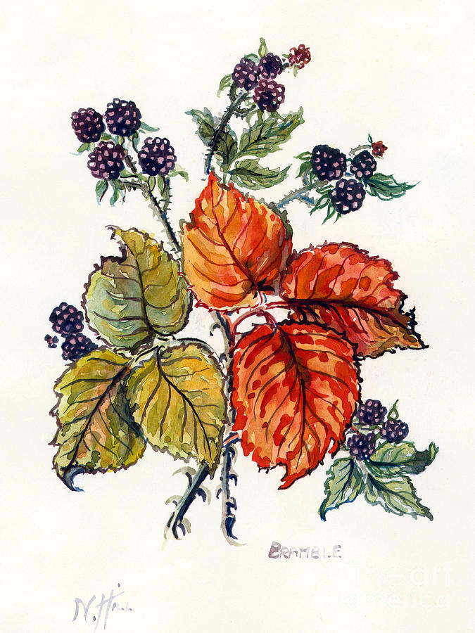 Bramble Painting by Nell Hill