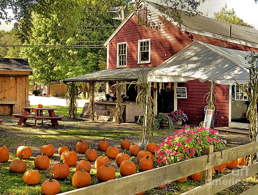 Bramhalls Country Store Fall 2015 Photograph by Janice Drew