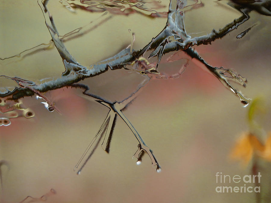 Branch with Water abstract Digital Art by Craig Walters