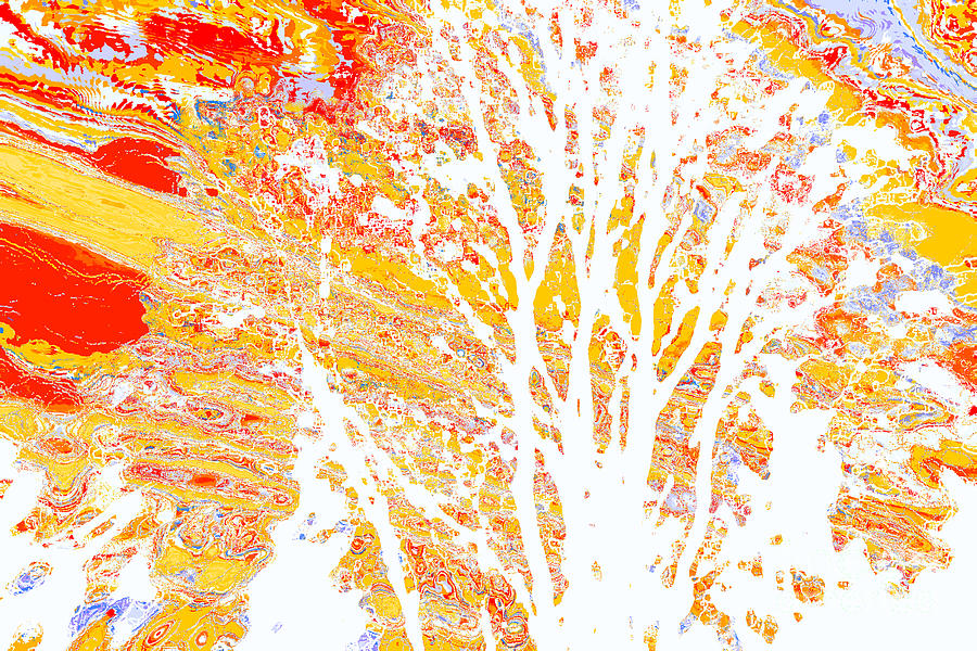Branches 8 Digital Art by Chris Taggart