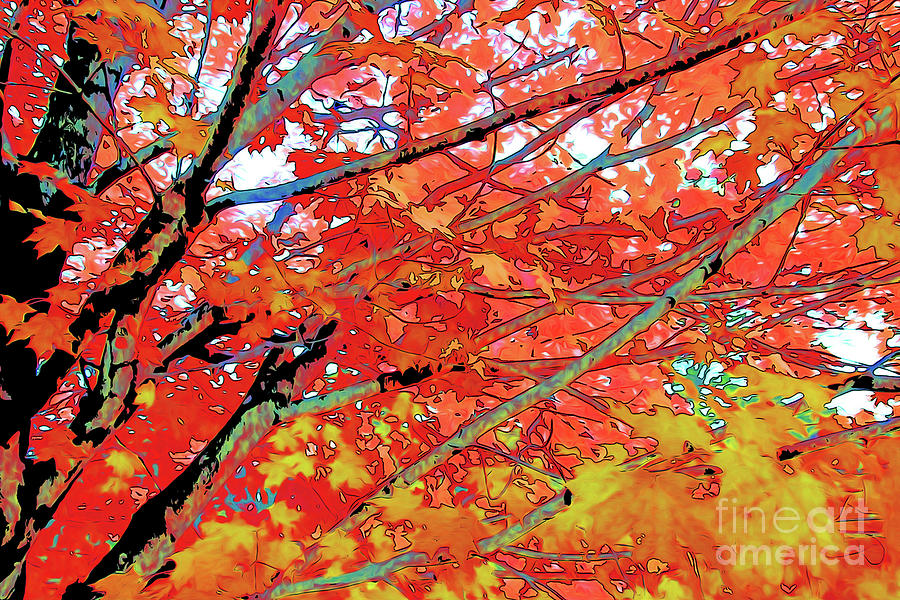 Branches Fall 9 Digital Art by Chris Taggart - Fine Art America