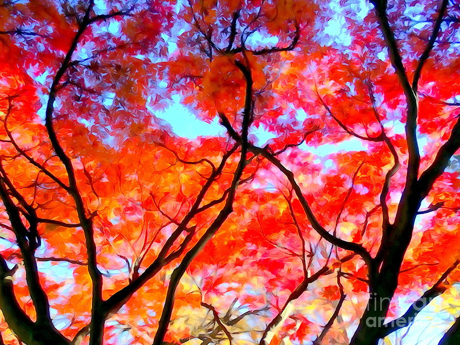 Branches Of Fire Photograph by Ed Weidman