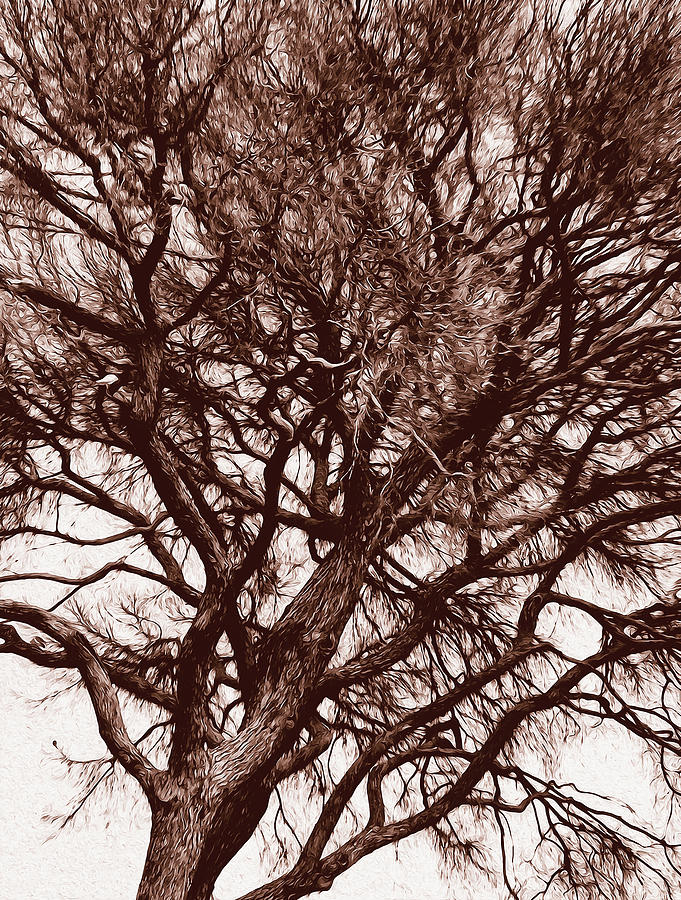 Branches of Time Painting by AM FineArtPrints