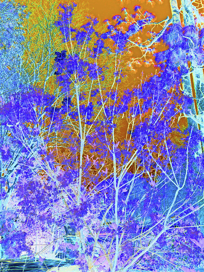 Garden Digital Art - Branching Out Ethereally by Marian Bell