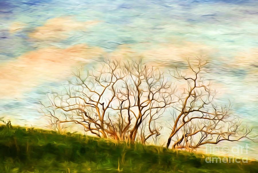 Branching Out Mixed Media by Kerri Farley