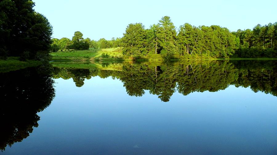 Nature Photograph - Brandis pond by Tracy Hukill