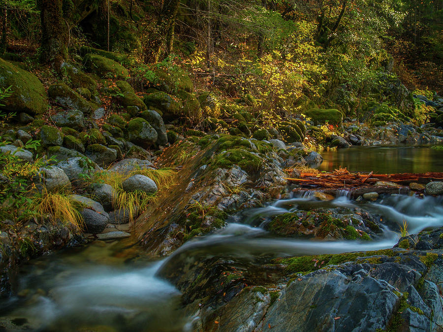 Brandy Creek Fall Colors Photograph