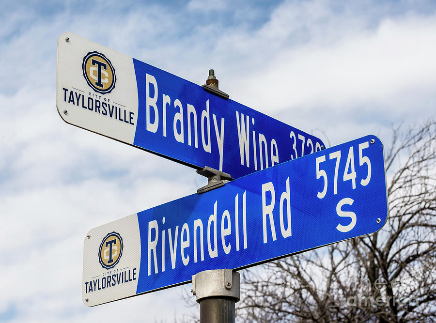 Brandywine And Rivendell Street Signs Photograph by Gary Whitton
