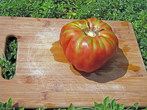 Tomato Photograph - Brandywine tomato on a cutting board by Richard Nickson