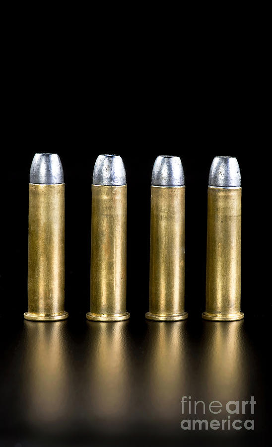 Brass and Lead Bullets. Photograph by W Scott McGill - Pixels