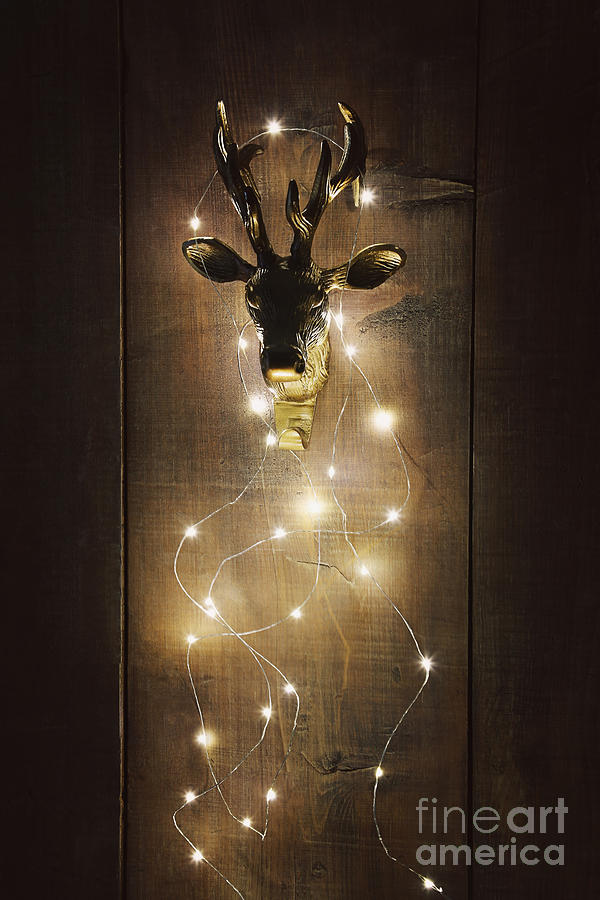 Christmas Photograph - Brass deer head with Christmas lights by Sandra Cunningham