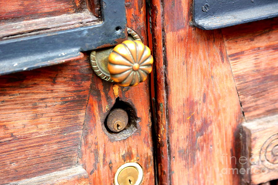 Brass Door Knob on Wooden Door Photograph by Carol Groenen