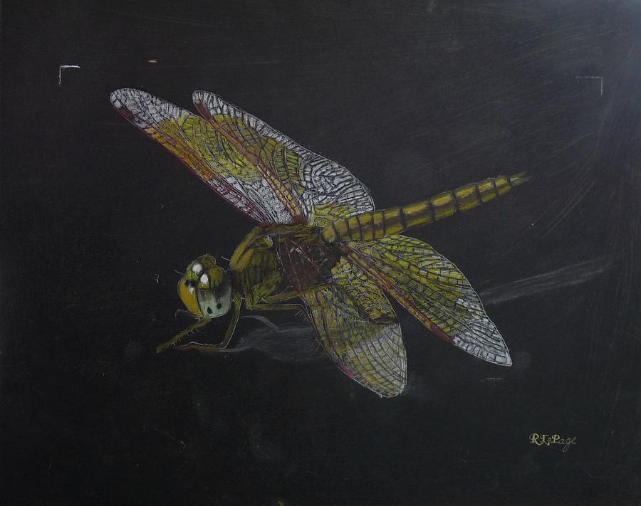 Brass Dragonfly Pastel by Richard Le Page
