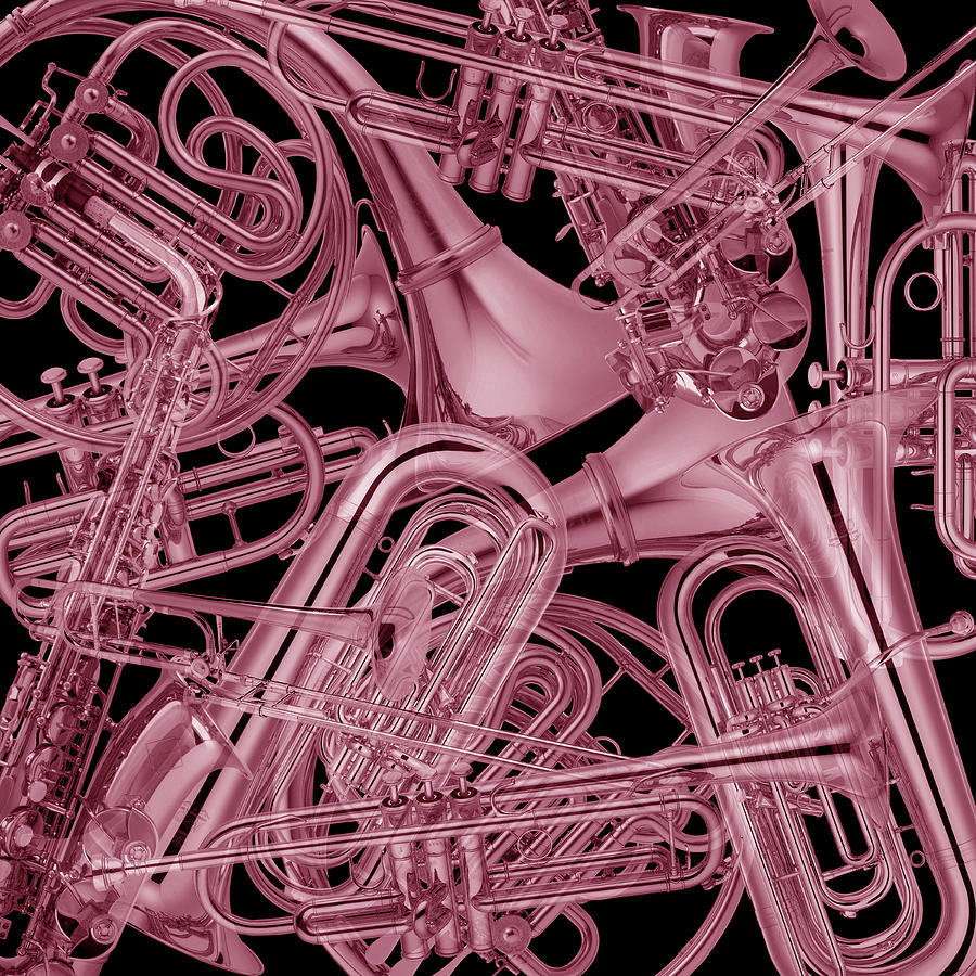Brass Instruments Rose Photograph by Andrew Fare