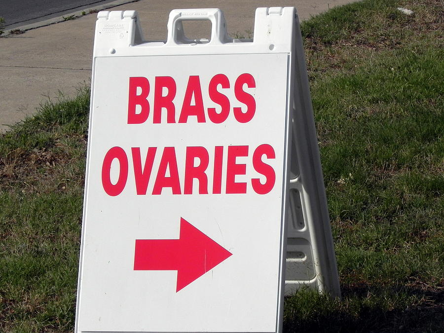 Sign Photograph - Brass Ovaries by Vickie Judkins