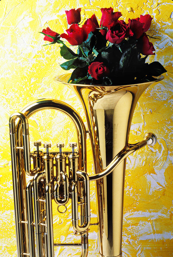 Rose Photograph - Brass tuba with red roses by Garry Gay