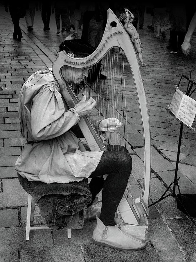 Bratislava Busker Harpist BW Photograph by C H Apperson