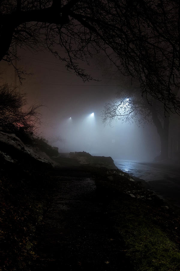 Brattleboro Fog Photograph by Tom Singleton