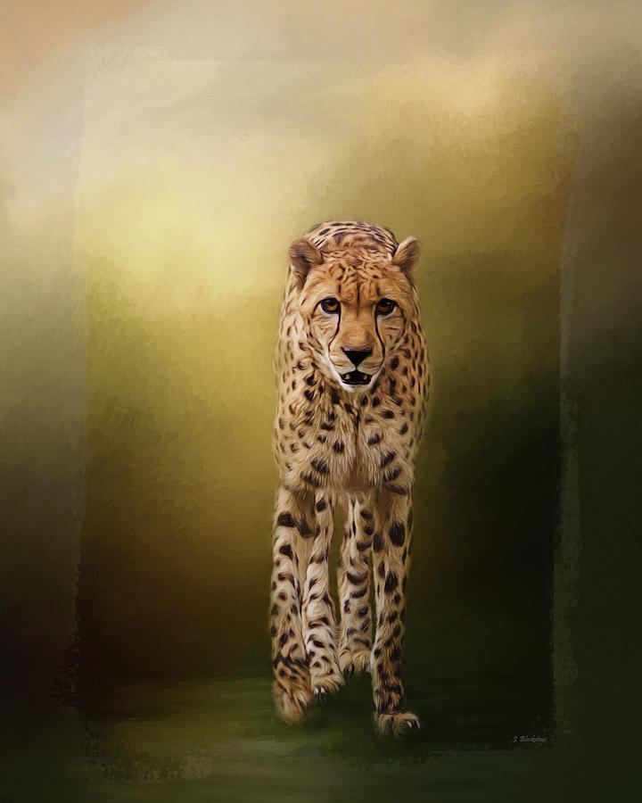 Wildlife Painting - Brave Enough - Cheetah Art by Jordan Blackstone